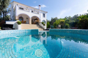 Premium Villa In Alepochori